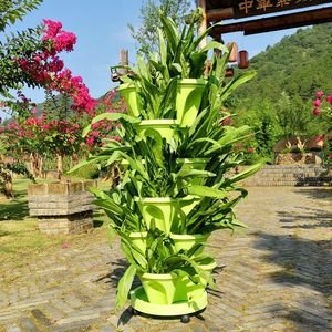 orchid flower pots